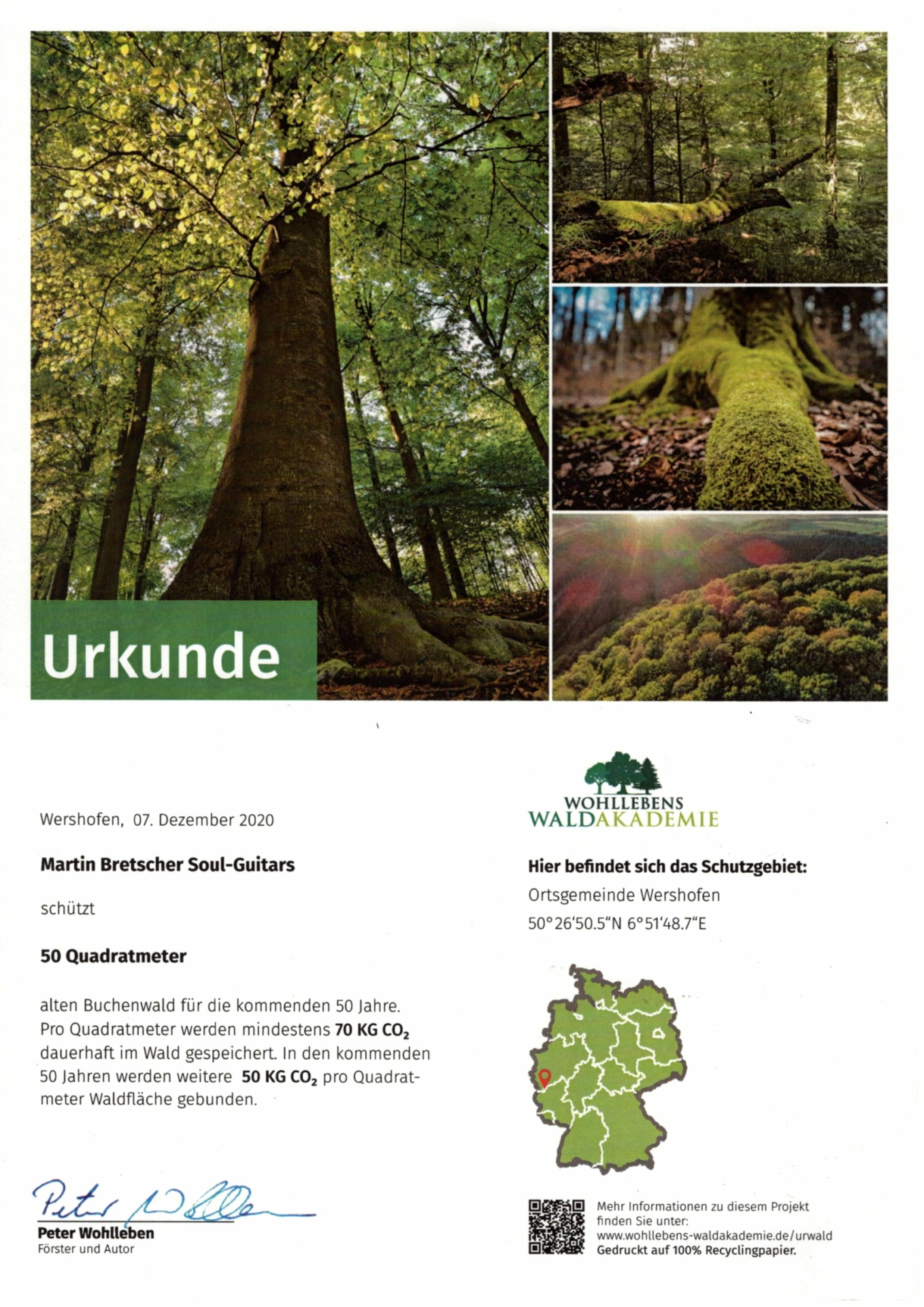 Buchen-UrwaldProjekt
